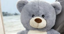 TEDDIES